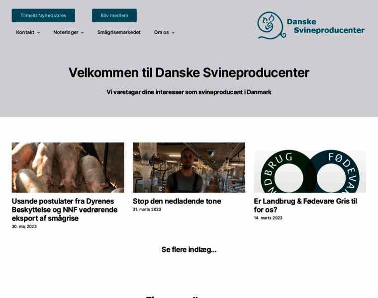 Danskesvineproducenter.dk thumbnail