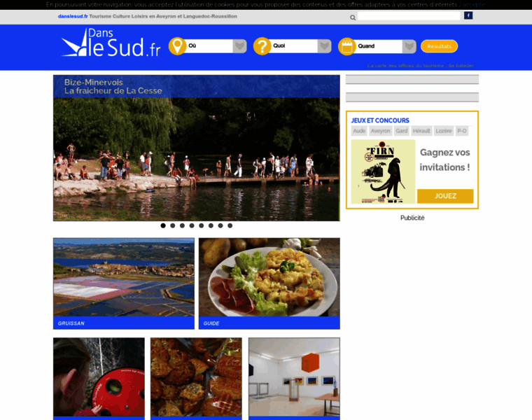 Danslesud.fr thumbnail