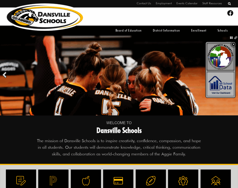 Dansville.org thumbnail