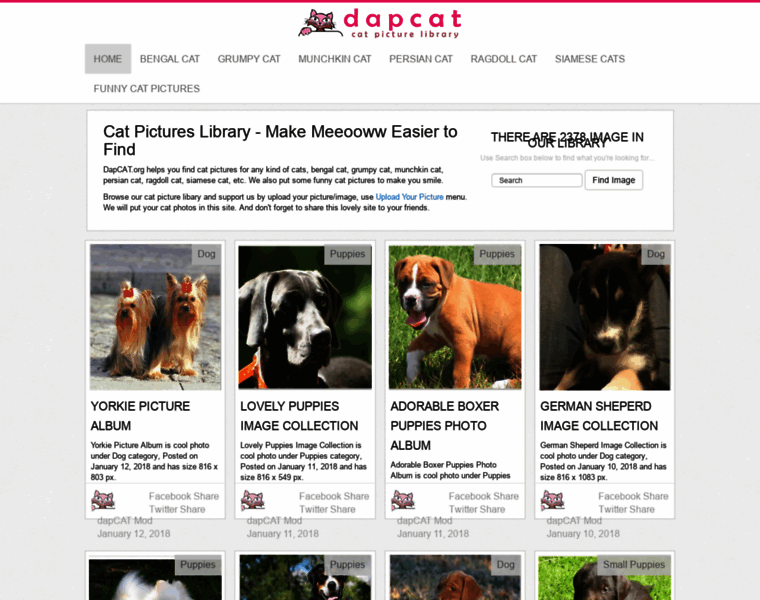 Dapcat.org thumbnail