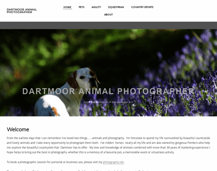Dartmoor-animal-photographer.co.uk thumbnail