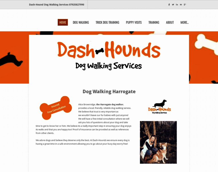 Dash-hounds.co.uk thumbnail