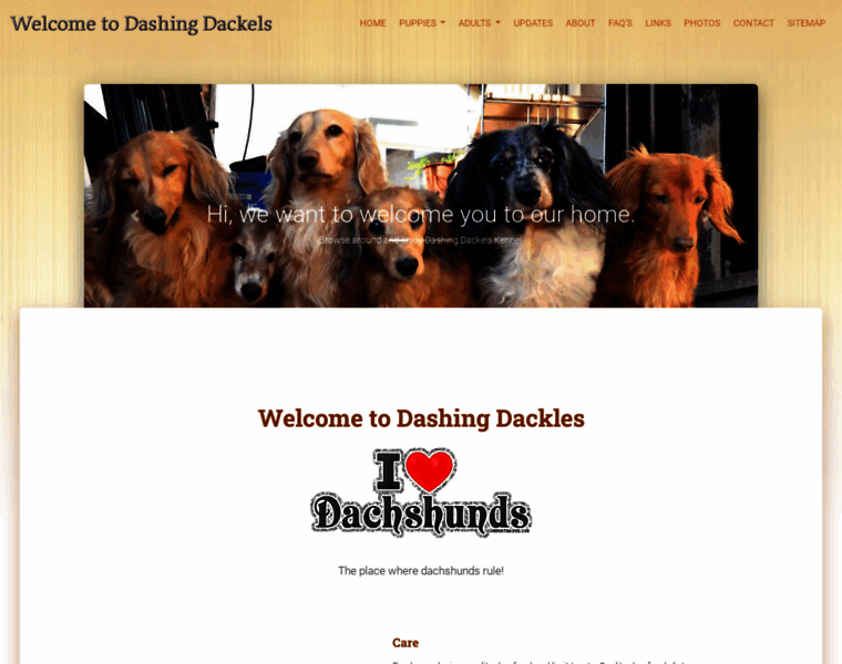 Dashingdackels.com thumbnail