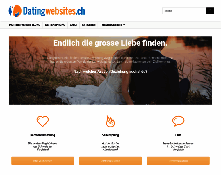 Datingwebsites.ch thumbnail