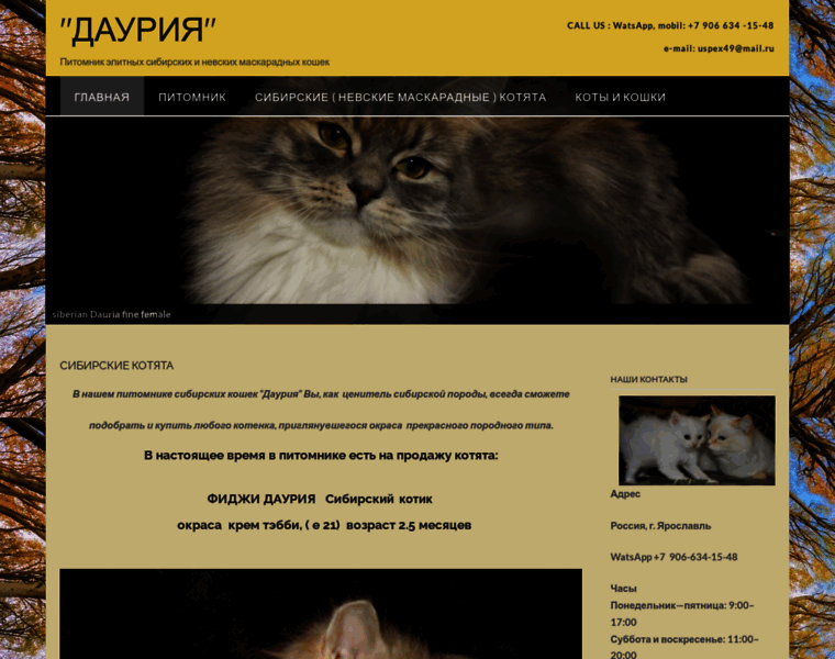 Dauriacats.ru thumbnail