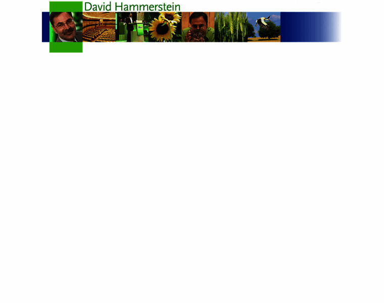 Davidhammerstein.org thumbnail