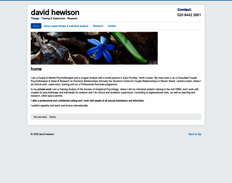 Davidhewison.com thumbnail