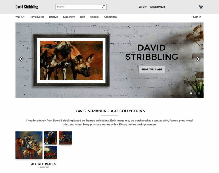Davidstribbling.com thumbnail