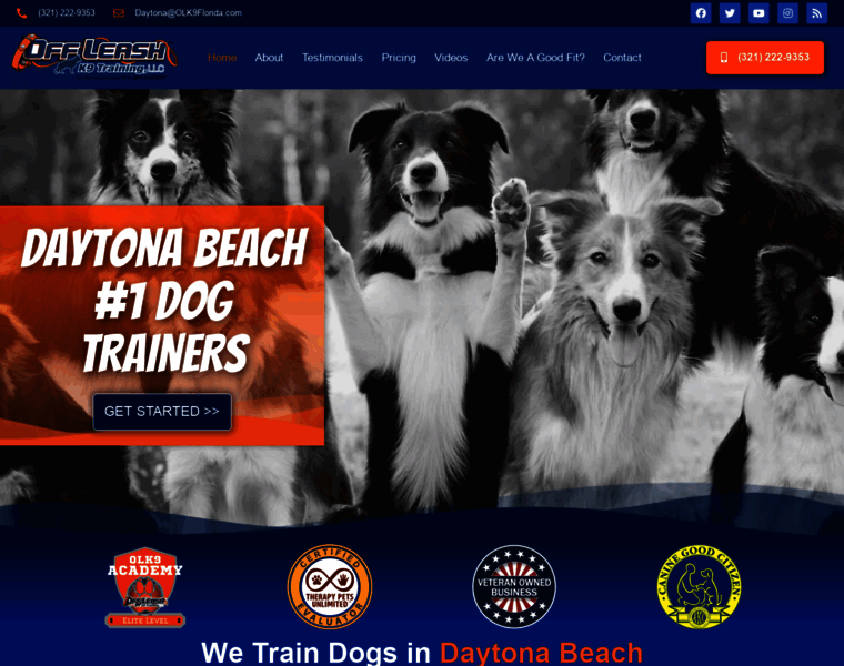 Daytonabeachdogtrainers.com thumbnail