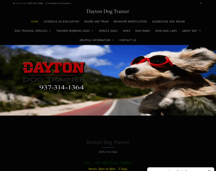 Daytondogtrainer.com thumbnail