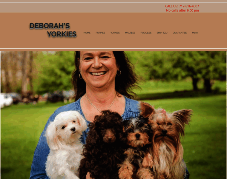 Deborahsyorkies.net thumbnail