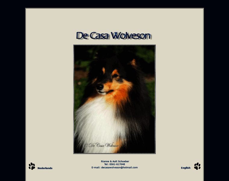 Decasawolveson.nl thumbnail