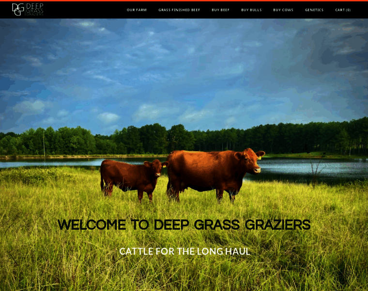 Deepgrassgraziers.com thumbnail