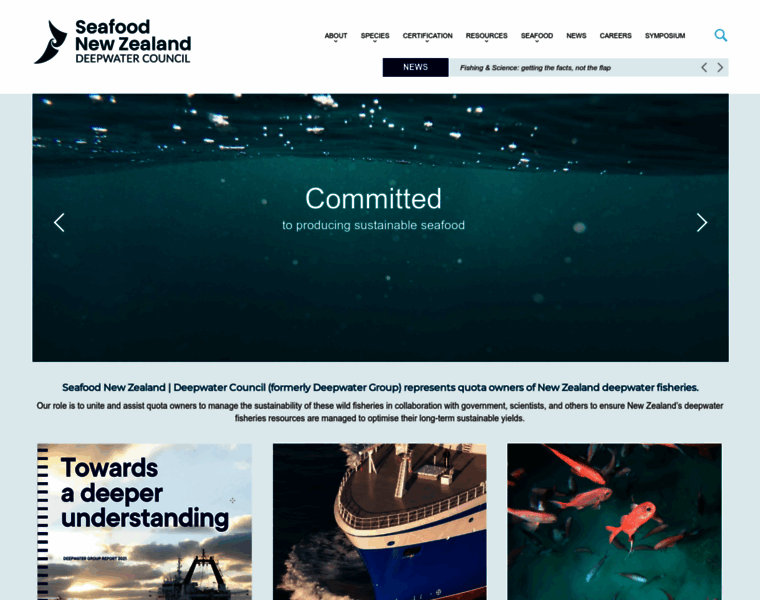 Deepwatergroup.org thumbnail