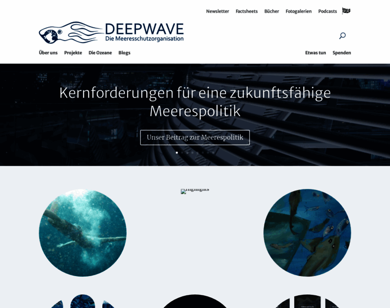 Deepwave.org thumbnail