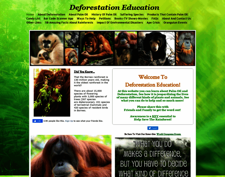 Deforestationeducation.com thumbnail