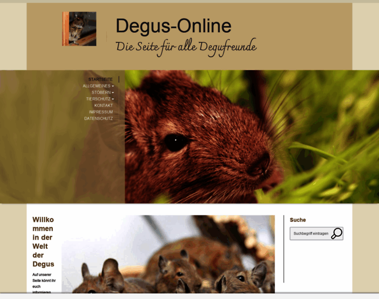 Degus-online.de thumbnail