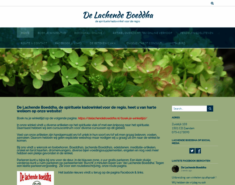 Delachendeboeddha.nl thumbnail