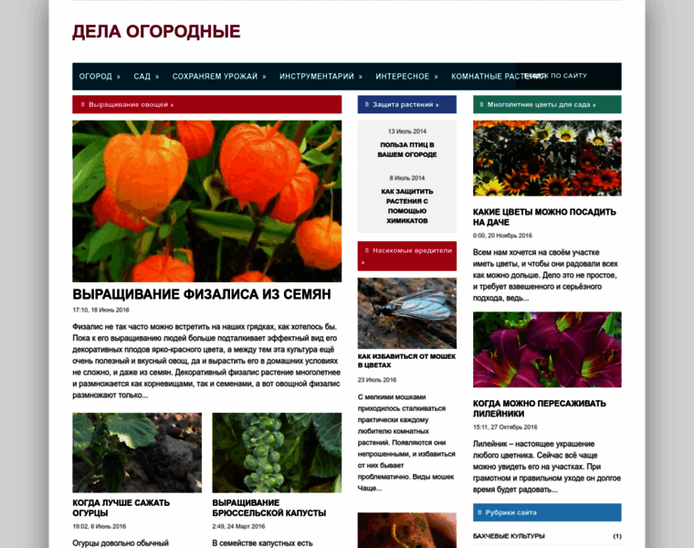 Delaogorodnie.ru thumbnail