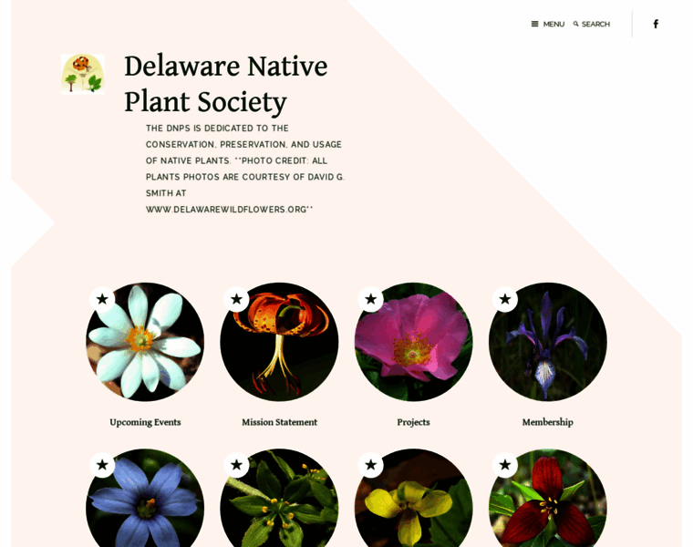 Delawarenativeplants.org thumbnail