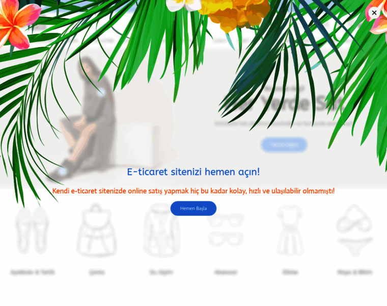 Delfince.com thumbnail