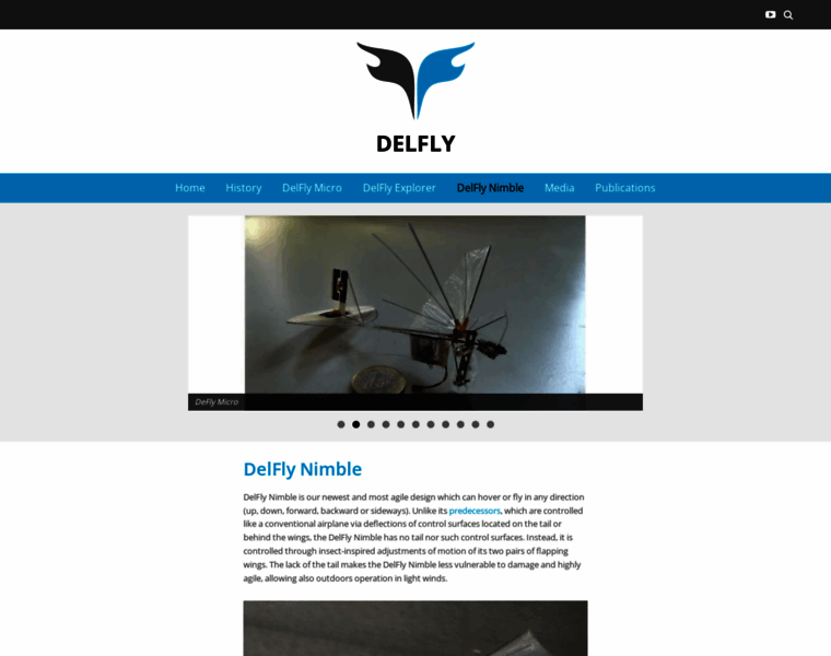 Delfly.nl thumbnail