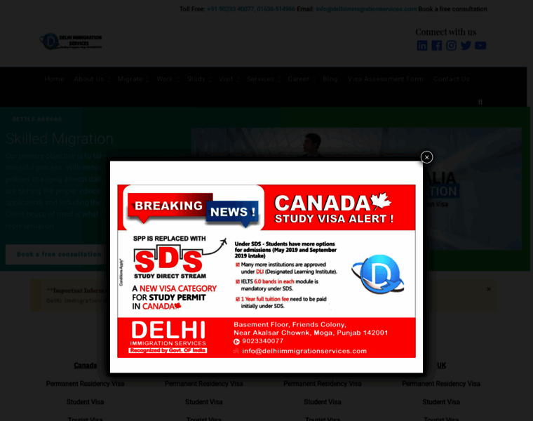Delhiimmigrationservices.com thumbnail