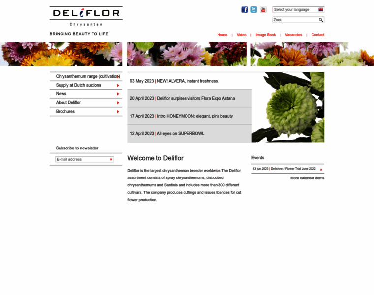 Deliflor.nl thumbnail