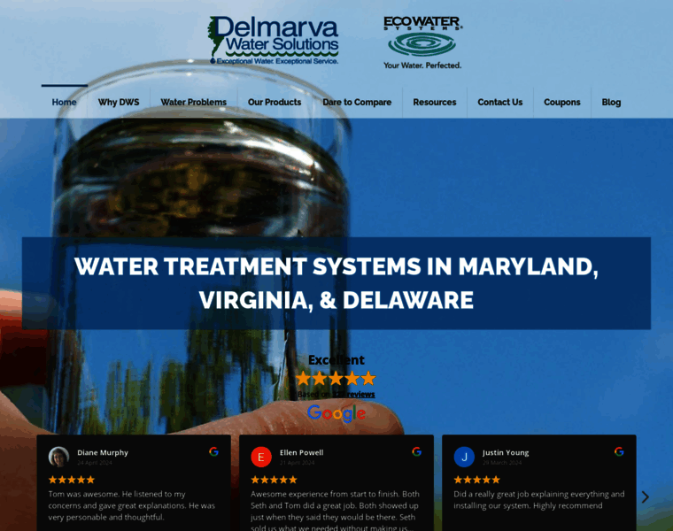 Delmarvawatersolutions.com thumbnail