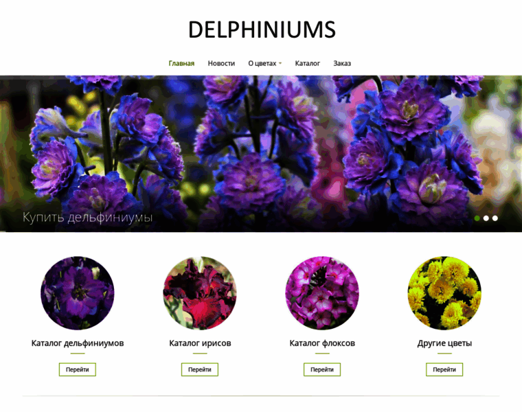 Delphiniums.ru thumbnail