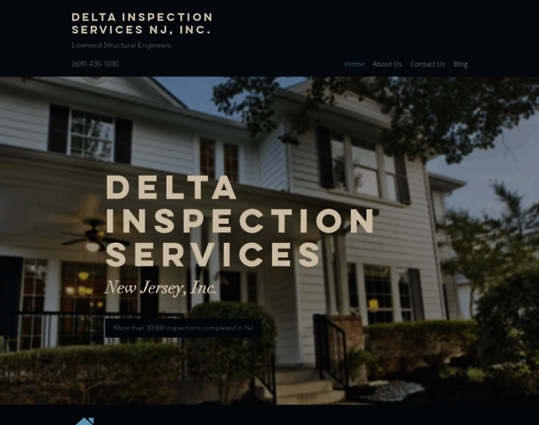 Deltainspectionservicesnj.com thumbnail