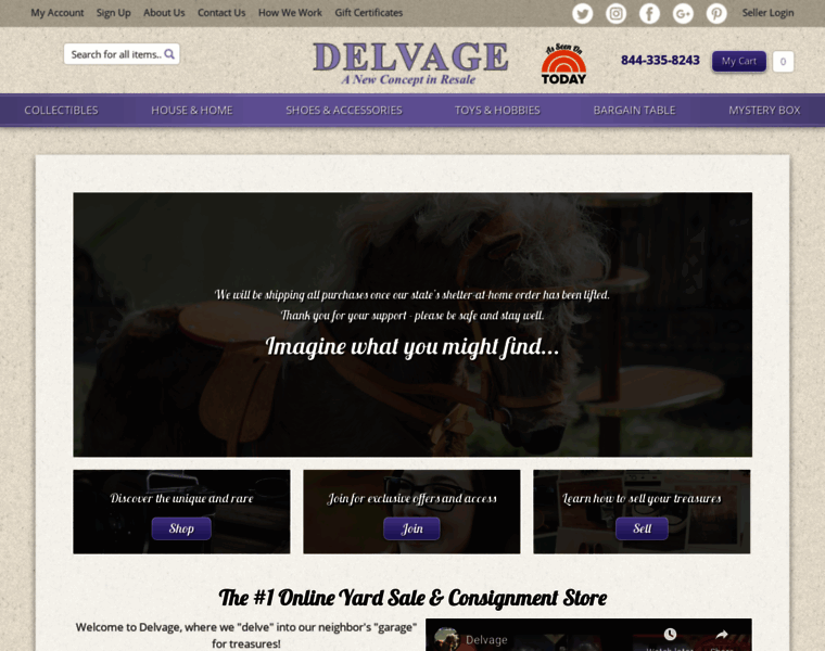 Delvage.com thumbnail