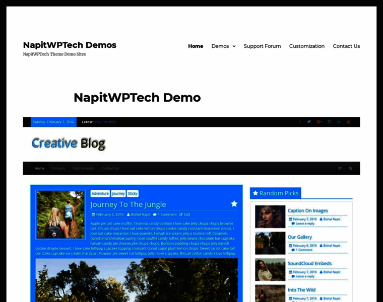 Demo.napitwptech.com thumbnail