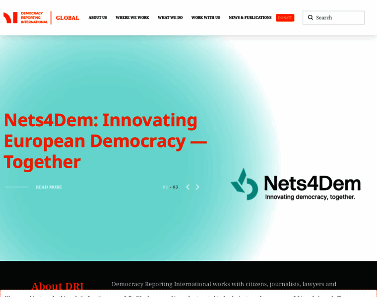 Democracy-reporting.org thumbnail