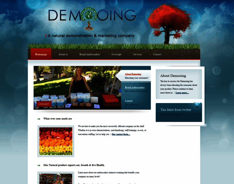 Demooing.com thumbnail