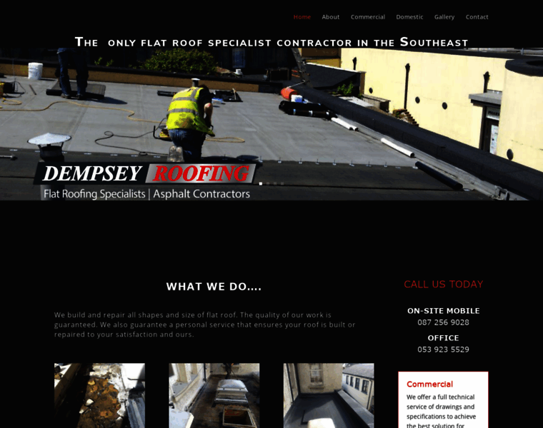 Dempseyroofing.ie thumbnail