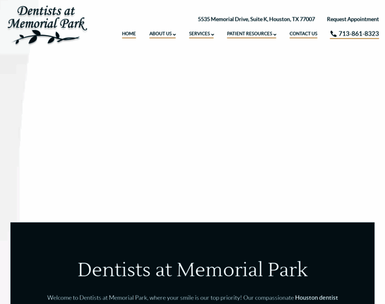 Dentistsatmemorialpark.com thumbnail