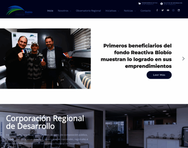 Desarrollabiobio.cl thumbnail Desarrollabiobio.cl thumbnail