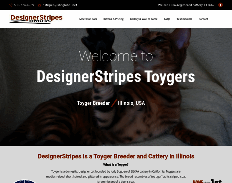 Designerstripestoygers.com thumbnail