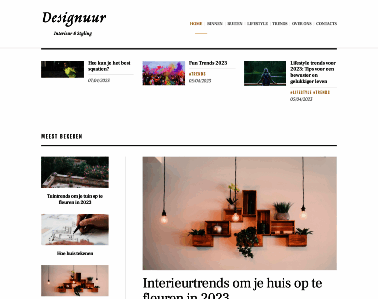 Designuur.nl thumbnail