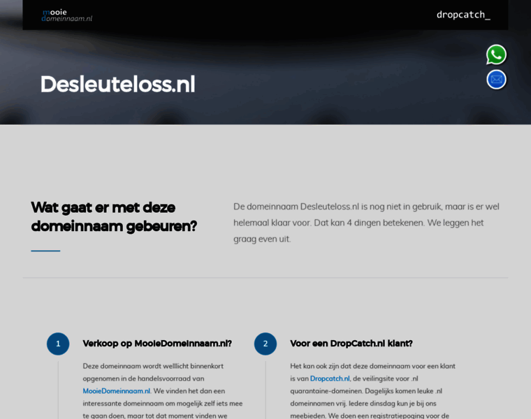 Desleuteloss.nl thumbnail