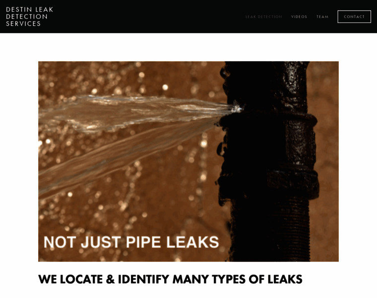 Destinleakdetection.com thumbnail