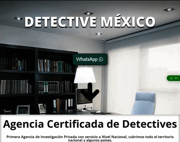 Detectivemexico.com thumbnail