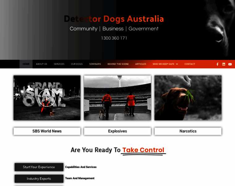 Detectordogs.com.au thumbnail