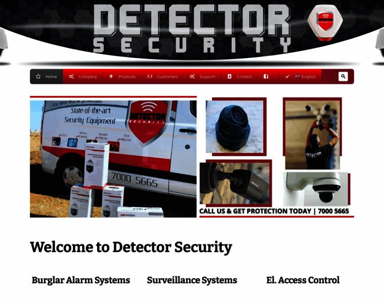 Detectorsecurity.com.cy thumbnail