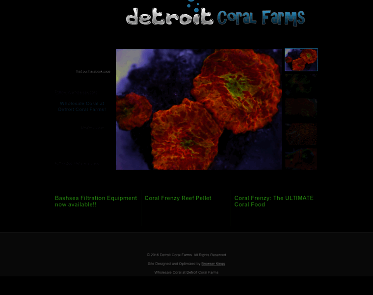 Detroitcoralfarms.com thumbnail
