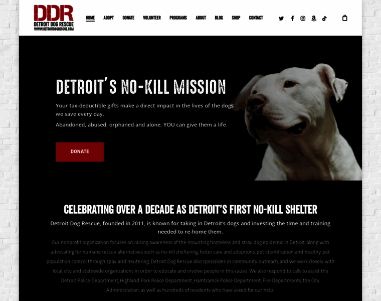 Detroitdogrescue.com thumbnail