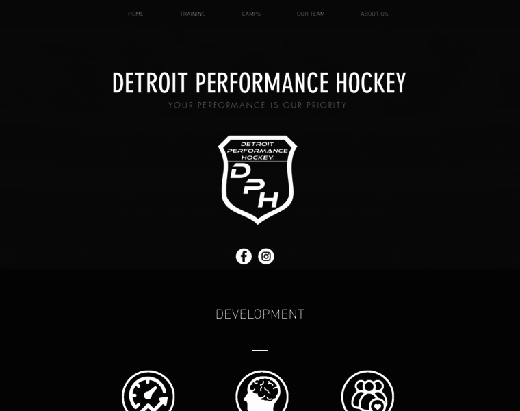 Detroitperformancehockey.com thumbnail