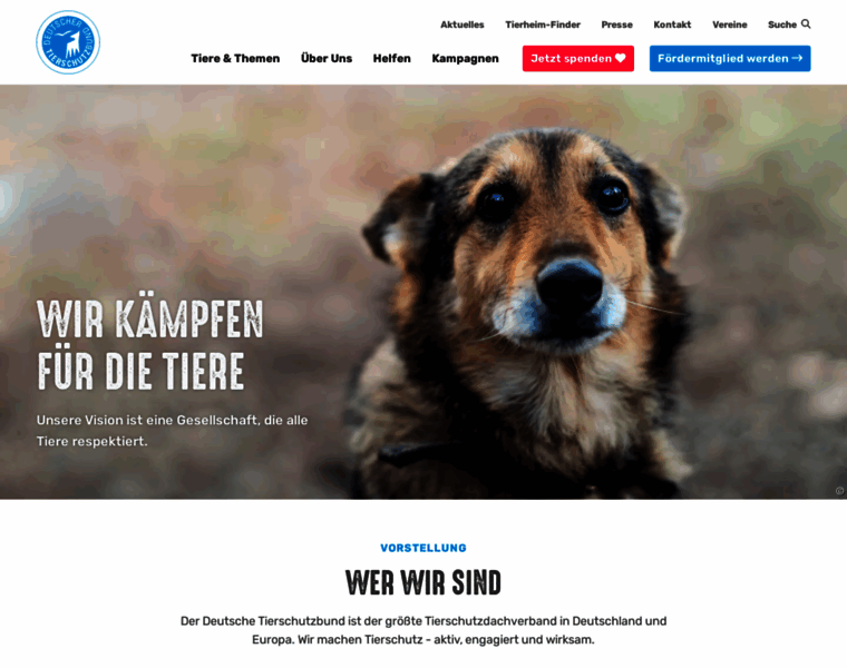 Deutschertierschutzbund.de thumbnail