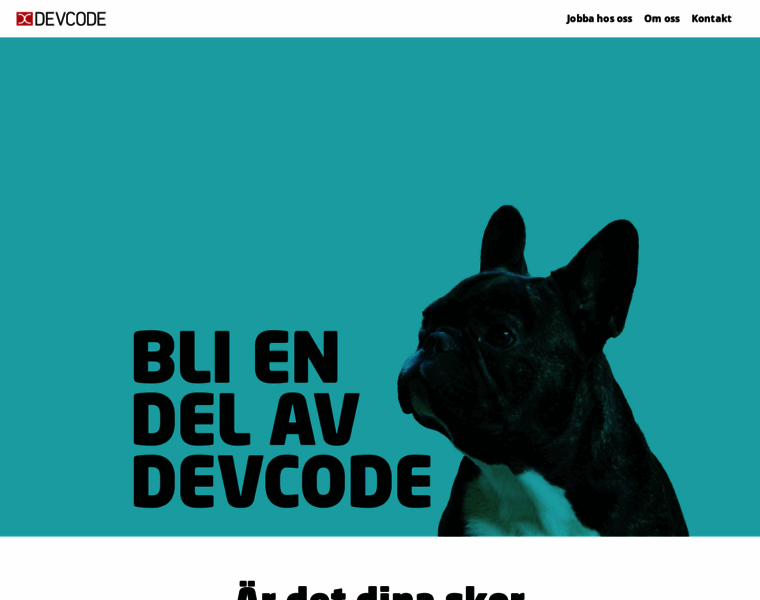 Devcode.se thumbnail